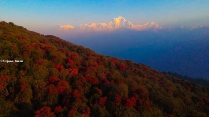 Pokhara: 7-Day Annapurna Base Camp Via PoonHill & Hot Spring - Not Suitable for