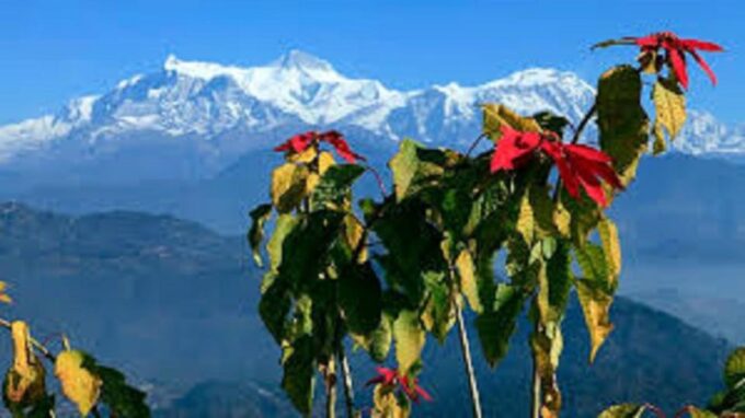 Pokhara: Adventure Awaits - Private Day Tour - Flexible Itinerary Highlights