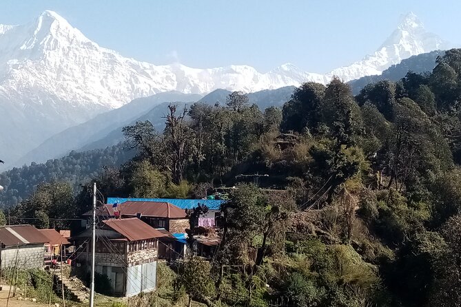 Pokhara: Annapurna Base Camp Trek Multi-Day Guided Tour - Inclusions