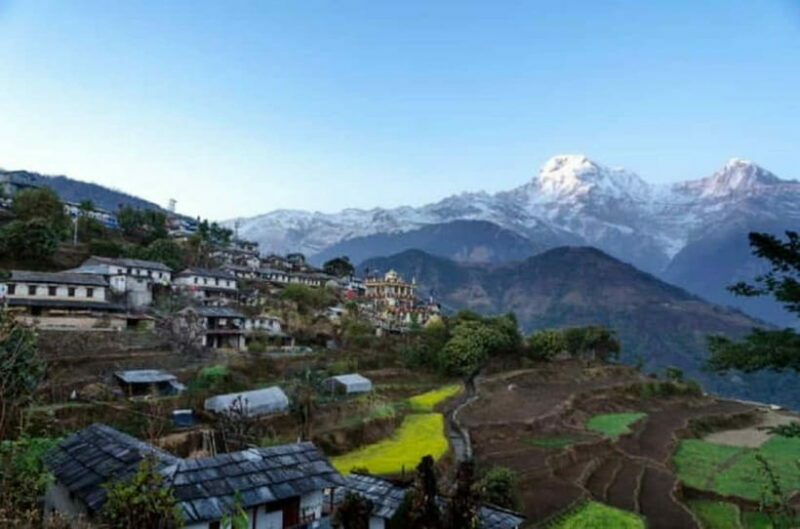 Pokhara: Annapurna Foothills Day Hike with Transfers - Why This Tour Represents Great Value