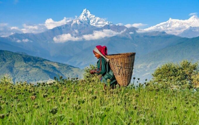 Pokhara: Budget-Friendly Kahundanda (Himalaya View) Day Hike - Local Cuisine and Hospitality