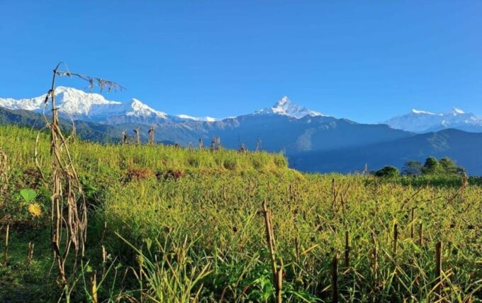 Pokhara: Budget-Friendly Kahundanda (Himalaya View) Day Hike - Practical Information