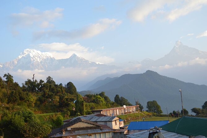 Pokhara: Dhampus Easy Trek for Families With Youngkids 2 Day Tour - Itinerary Details: Day 2