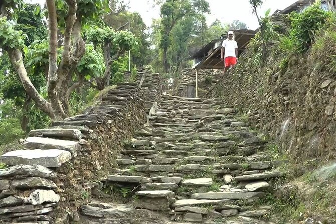 Pokhara: Dhampus Easy Trek for Families With Youngkids 2 Day Tour - Included in the Tour