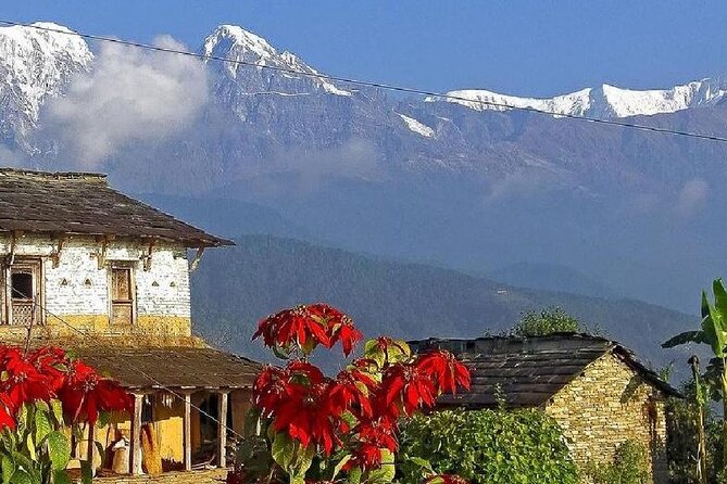 Pokhara: Dhampus Easy Trek for Families With Youngkids 2 Day Tour - Pickup and Accessibility