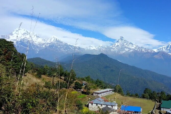 Pokhara: Dhampus Easy Trek for Families With Youngkids 2 Day Tour - Key Points