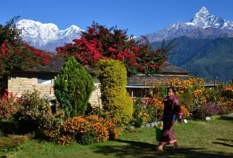 Pokhara: Dhampus Village Car Tour for Scenic Himalayas - Cultural Experience