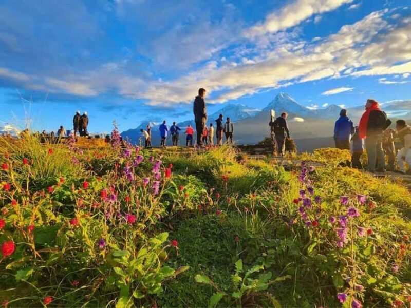 Pokhara: Easy 3-Day Ghorephani and Poon Hill Trek - A Practical Overview of the Trek Experience