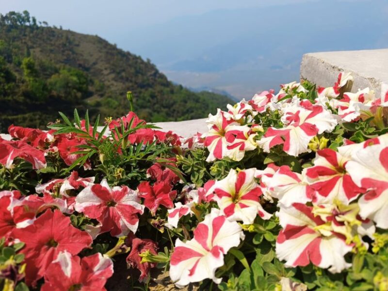 Pokhara: Full-Day Guided Sightseeing City Tour - Inclusions and Exclusions