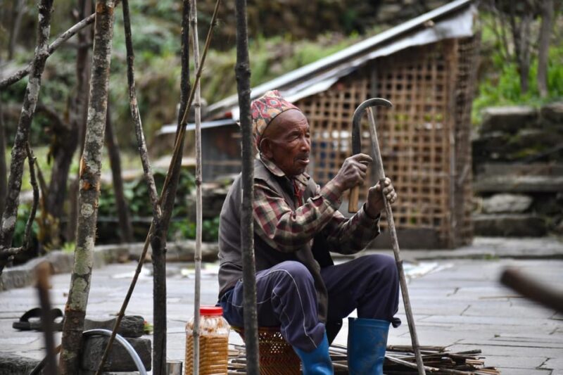 Pokhara: Ghorepani, Poonhill & Ghandruk Village Trek 4 Day - Day 2: Ulleri to Ghorepani
