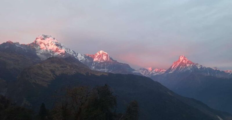 Pokhara: Guided Day Hike From Dampus To Australian Base Camp - Hiking Experience