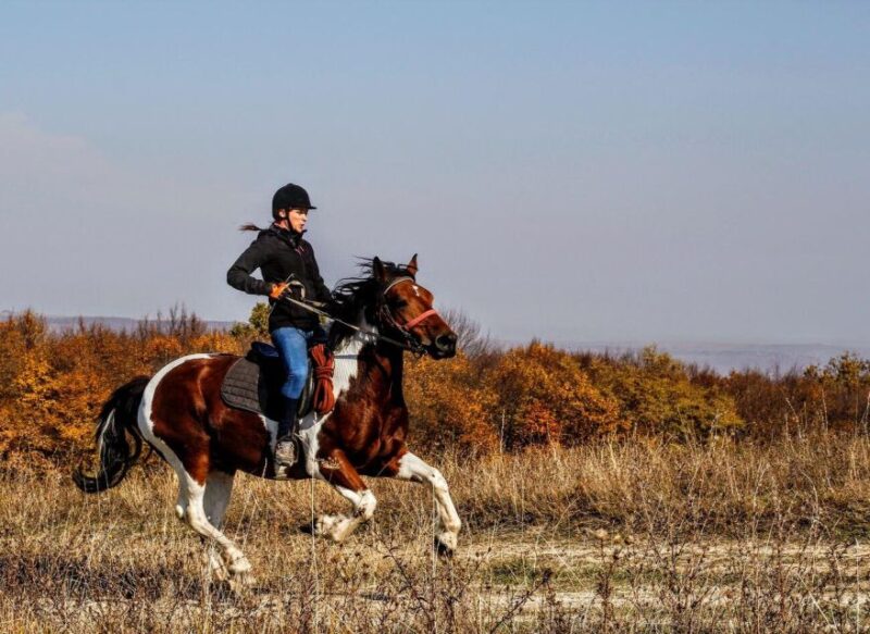 Pokhara: Horseback Adventure - Key Points