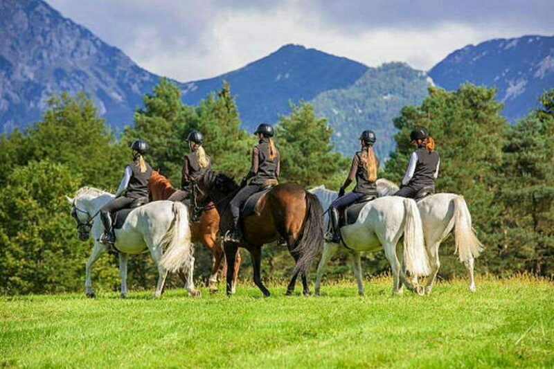 Pokhara: Horseback Riding Adventure with Hotel Pickup - Key Points
