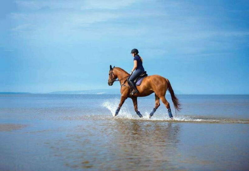 Pokhara: Horseback Riding Adventure with Hotel Pickup - FAQs