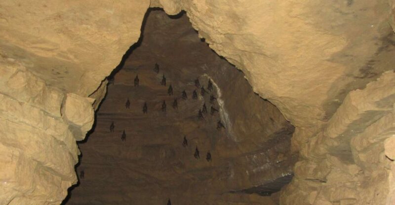 Pokhara: Mahendra, Gupteshwor Mahadev & Bat Cave PrivateTour - Price and Duration