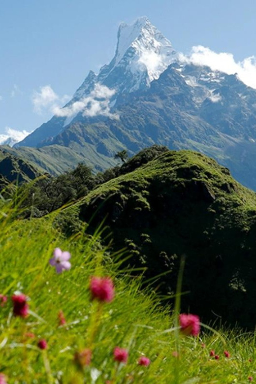 Pokhara: Mardi Himal Base Camp Helicopter Tour - Inclusions and Exclusions