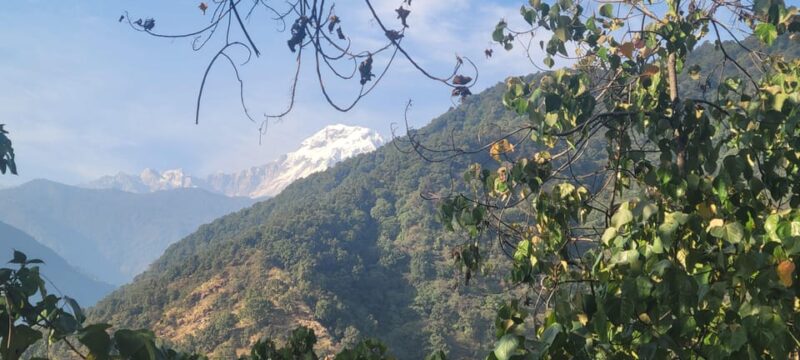 Pokhara- Monastery-Village Day Trip and Hike With Pratigya - Authentic Dal Bhat Lunch