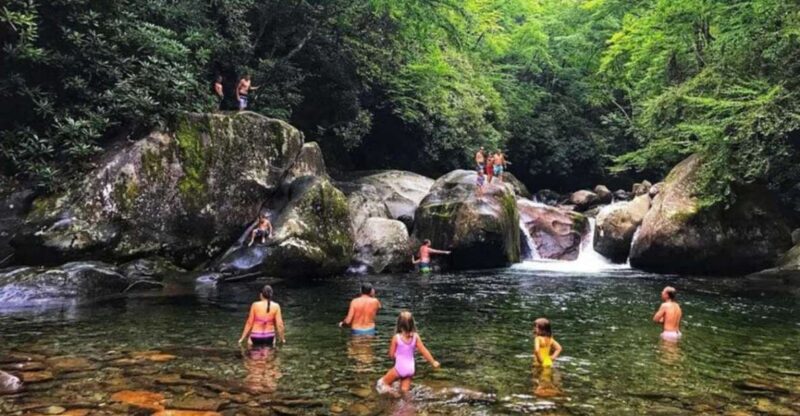 Pokhara: Natural Himalayan River Swim Experience Package - Itinerary