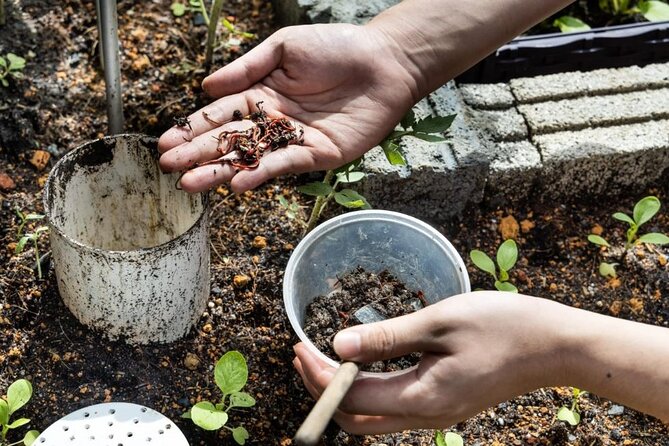 Pokhara: Organic Farm Tour and Cooking Class at Durku - Enjoying the Farm-to-Table Meal