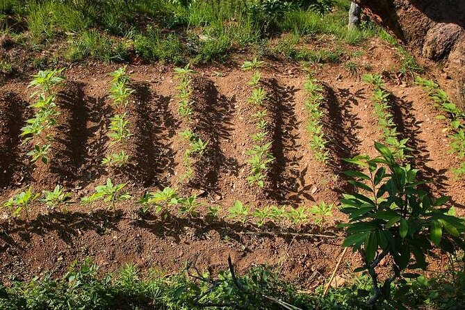 Pokhara: Organic Farm Tour and Cooking Class at Durku - Tour Logistics and Pricing