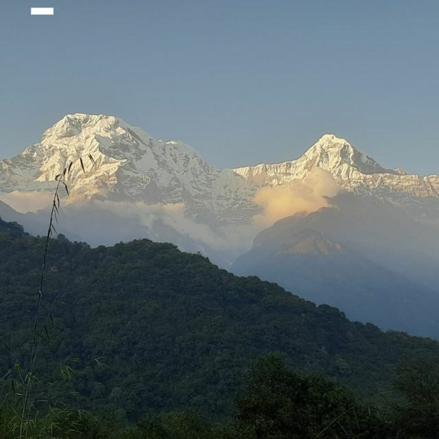 Pokhara: Peace Pagoda Sunset, Annapurna Mountain Views Tour - Authentic Reviews and Feedback