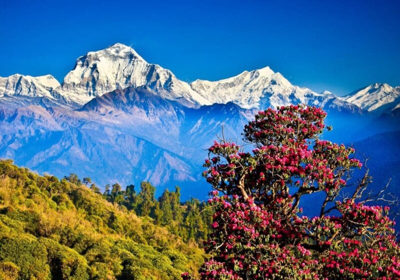 Pokhara: Poon Hill and Ghandruk Guided Trek (4 Days) - Frequently Asked Questions