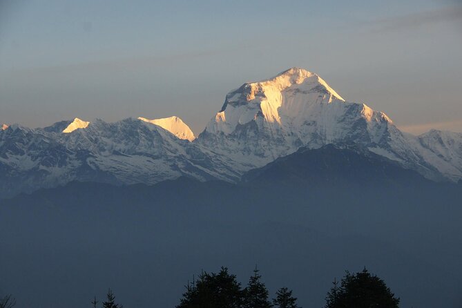 Pokhara: Poon Hill Ghorepani Short Trek - Customer Satisfaction and Feedback