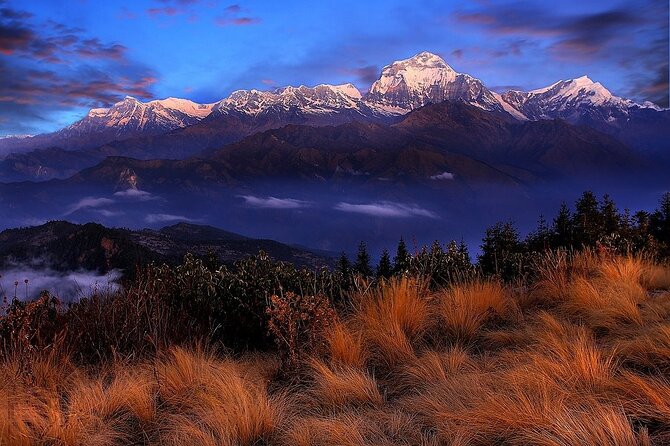 Pokhara: Poon Hill Ghorepani Short Trek - Pricing and Group Size Options