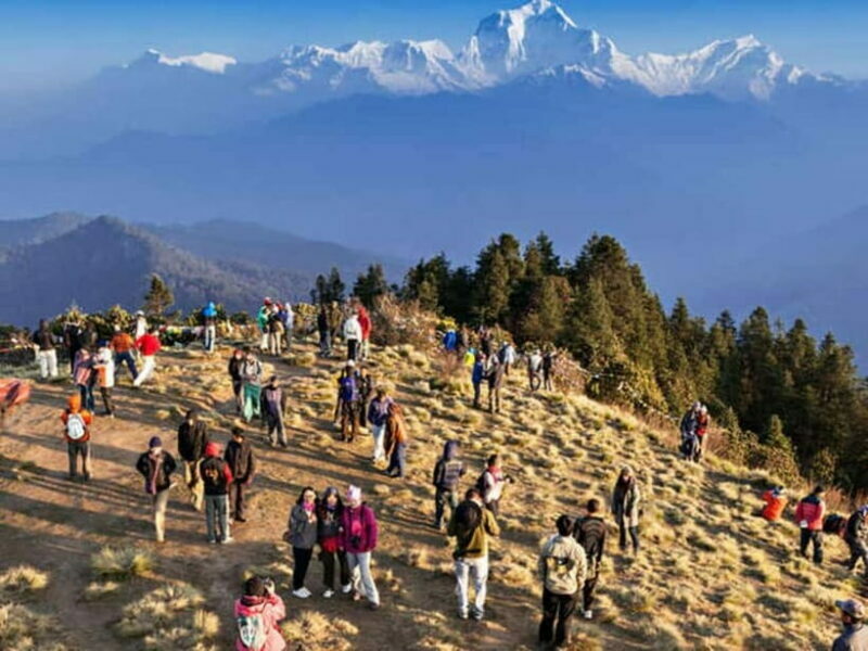Pokhara: Poon Hill Trek - An In-Depth Look at the Poon Hill Trek Experience