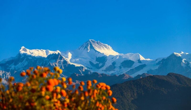 Pokhara: Private City Tour and Sarangkot Sunrise - Customer Feedback