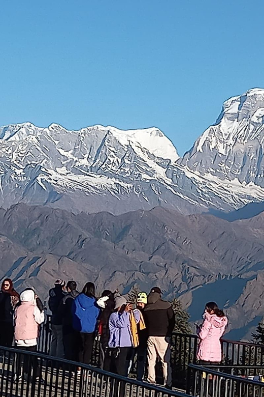 Pokhara: Short Poon Hill Trek With Sunrise View - Trek Itinerary