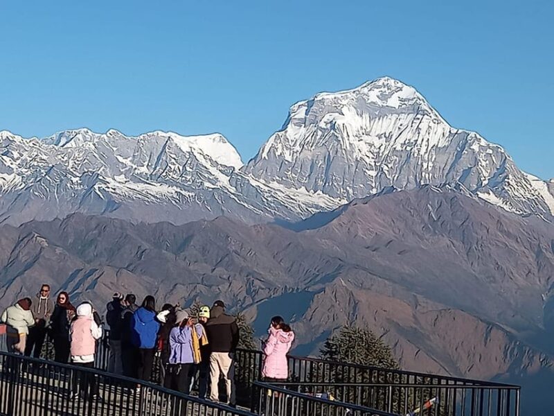 Pokhara: Short Poon Hill Trek With Sunrise View - Highlights of the Trek