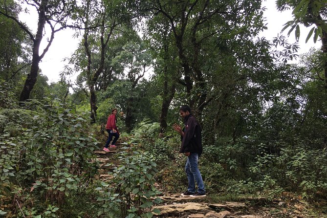Pokhara: Stay in Cottage With Day Hike to World Peace Stupa - Inclusions