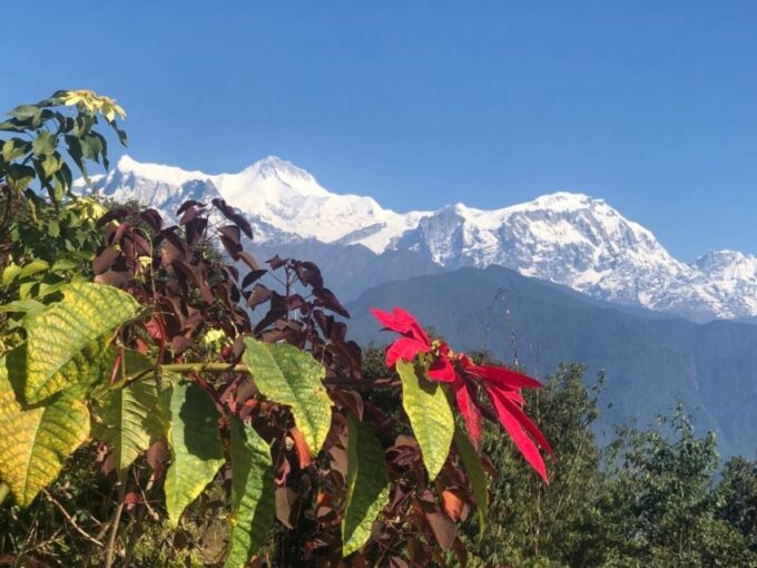 Pokhara: Sunrise Tour to Sarangkot - Frequently Asked Questions