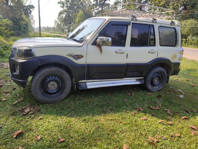Pokhara to Chitwan (Sauraha) by Private Vehicle - Scenic Landscapes