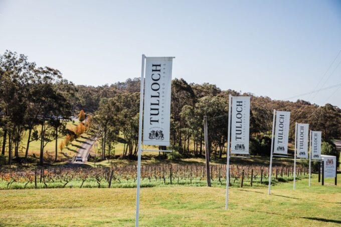 Pokolbin: Tulloch Hunter Heroes Wine Tasting & Cheese Board - Customer Reviews