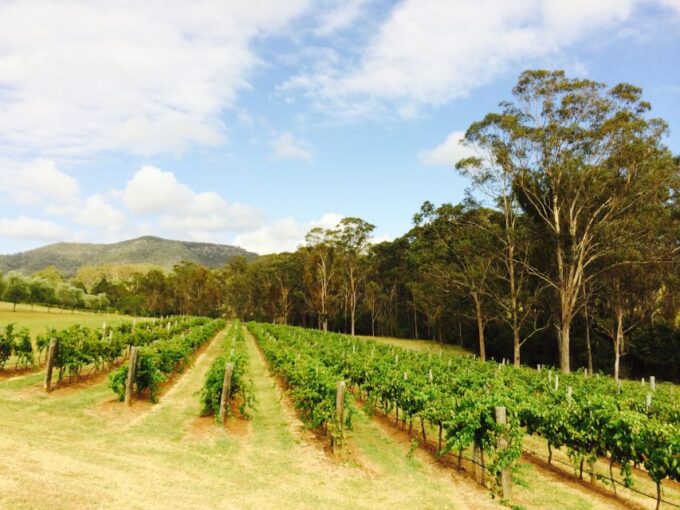 Pokolbin: Tulloch Hunter Heroes Wine Tasting & Cheese Board - Recap