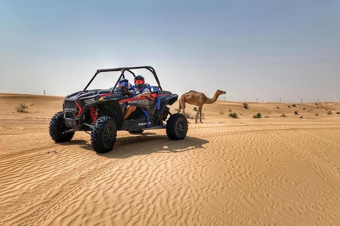 Polaris RZR 1000cc 2seater Desert Adventure Guided Tour - Meeting and Pickup Logistics