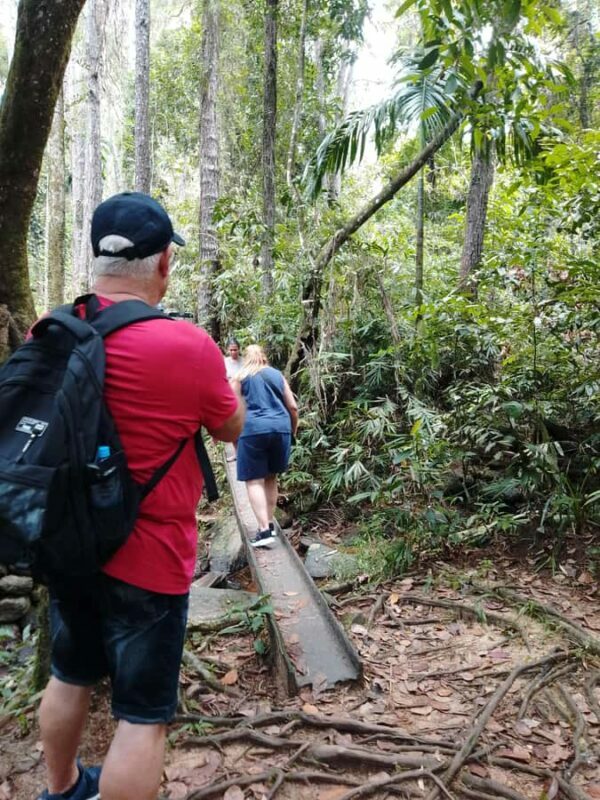 Polgampola Waterfall Tour by Tuk Tuks From Bentota area - The Itinerary and Why It Matters