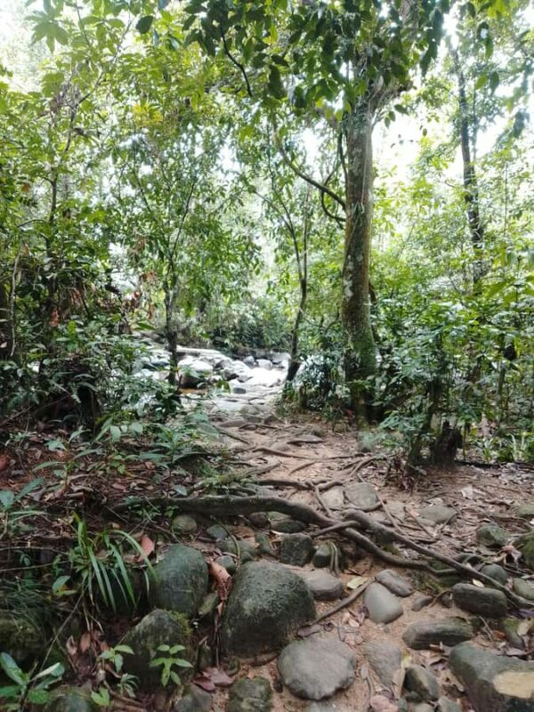 Polgampola Waterfall Tour by Tuk Tuks From Bentota area - The Sum Up