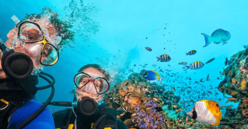Polignano a Mare: Scuba Experience With Certification - Activity Details