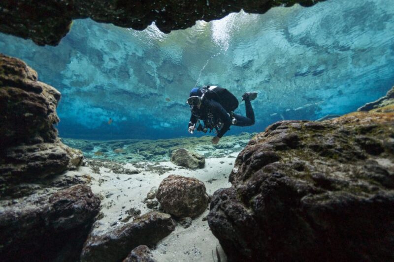 Polignano a Mare: Scuba Experience With Certification - Booking Process