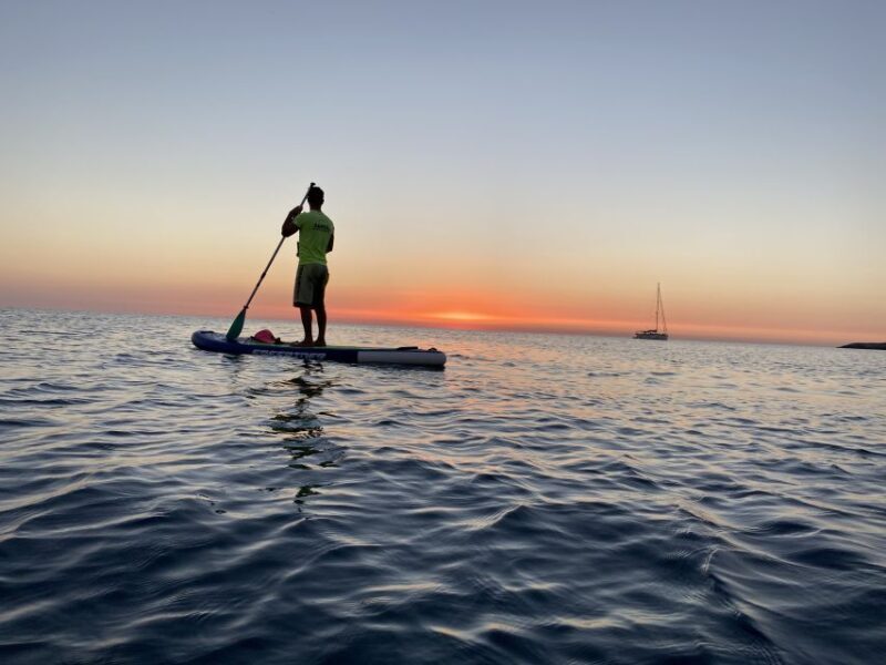 Polignano a Mare: Stand-Up Paddle Board Sea Cave Trip - Customer Reviews and Feedback
