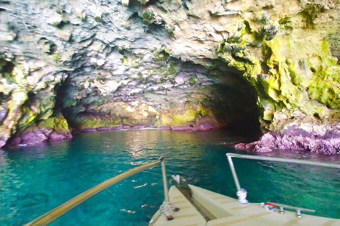 POLIGNANO by Boat: Amazing Sea Caves and Free Drinks! - Additional Information and Recommendations