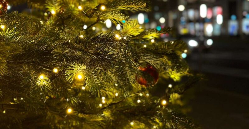 Polignano's Christmas Charm: A Festive Coastal Walk - Key Points