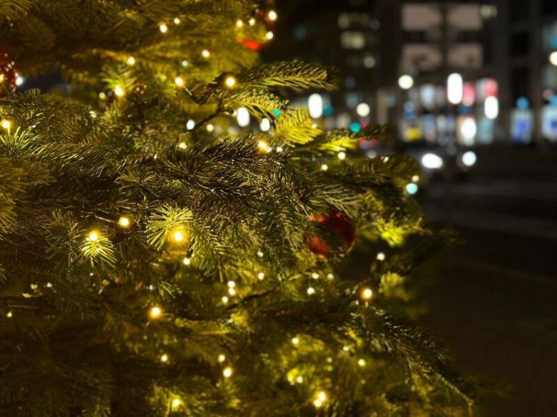 Polignano's Christmas Charm: A Festive Coastal Walk - Scenic Views at Calaponte
