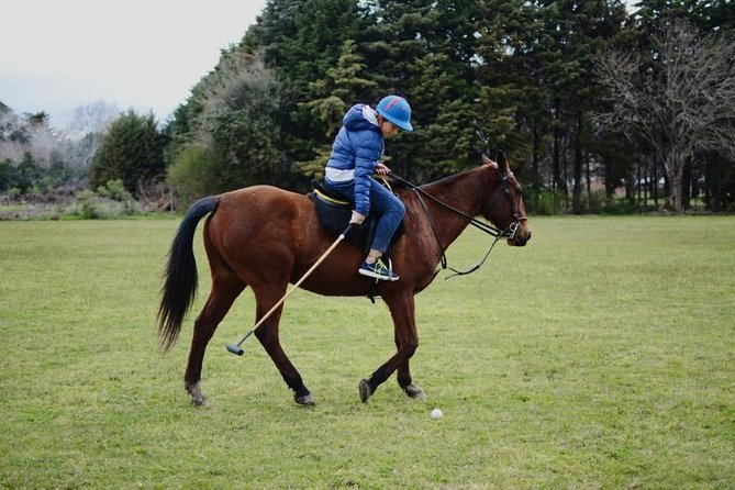 Polo Day in Pilar, Buenos Aires - Preparing for the Polo Experience