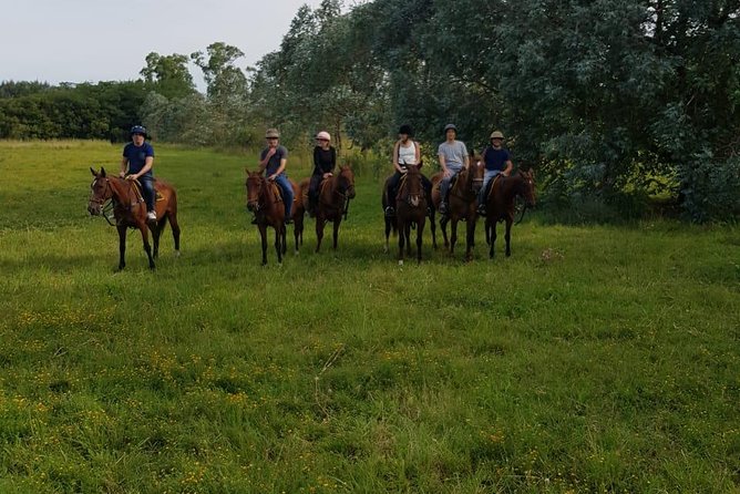 Polo Day in Pilar, Buenos Aires - Enjoying the Tranquil Countryside Rides