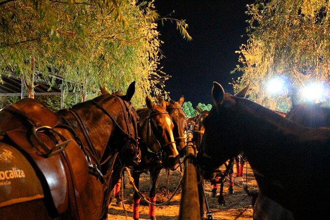 Polo Night Experience With Argentine Asado in Buenos Aires - Unforgettable Polo Night Experience