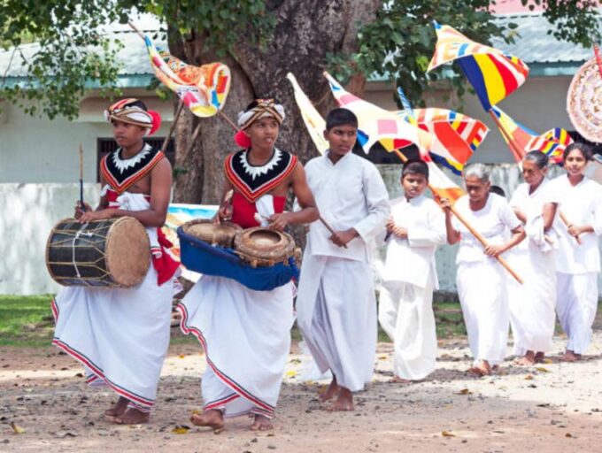 Polonnaruwa Ancient City Tour With Minneriya Elephant Safari - About the Providers